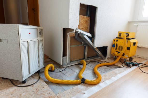 Best HVAC Mold Inspection and Cleaning  in Pine Valley, CA