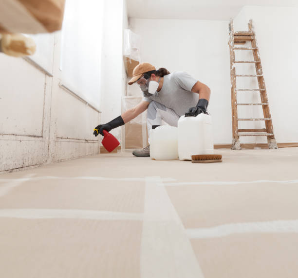 Best Crawl Space Mold Remediation  in Pine Valley, CA